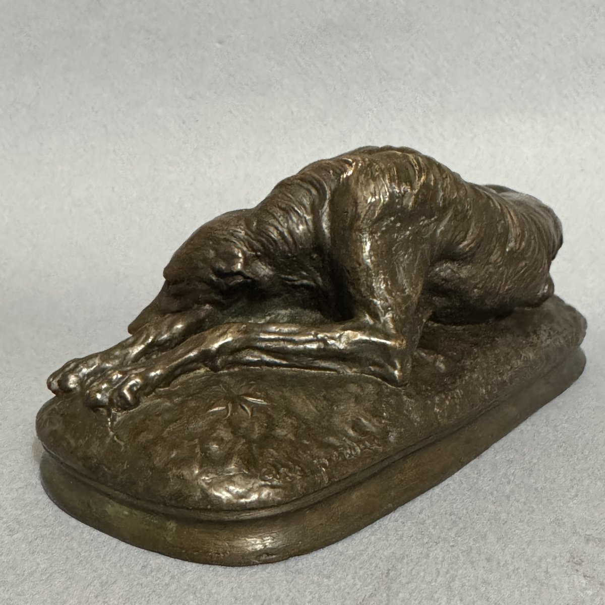 Bronze "lying Greyhound" - Paul Gayrard - Susse Frères Lost Wax-photo-1