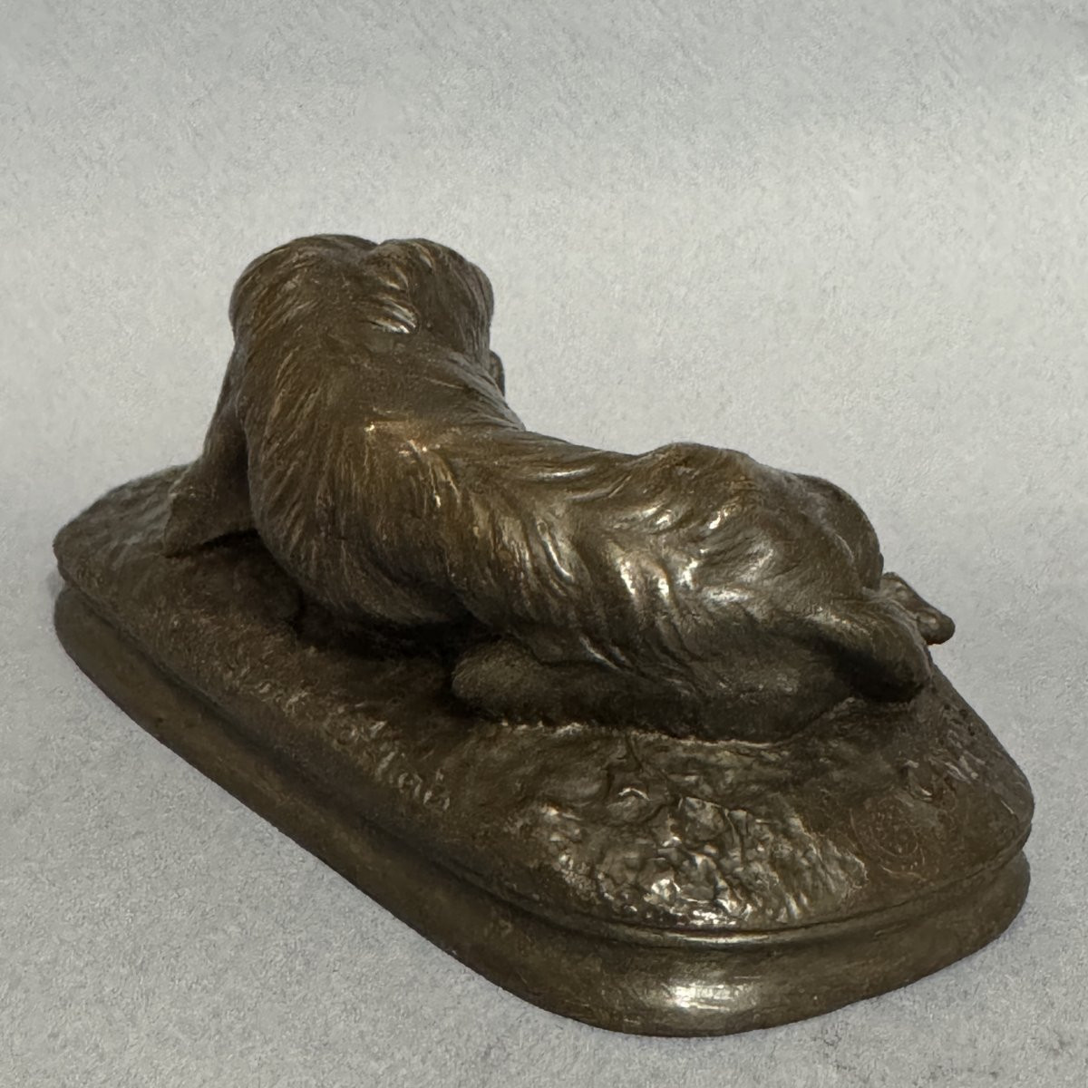 Bronze "lying Greyhound" - Paul Gayrard - Susse Frères Lost Wax-photo-3