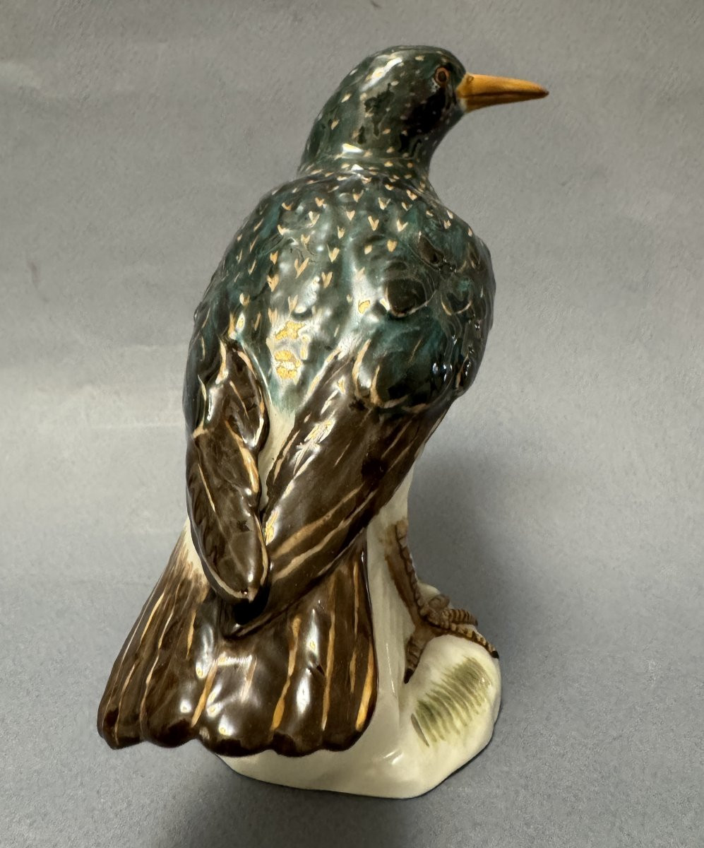Meissen Porcelain Starling Bird -photo-2