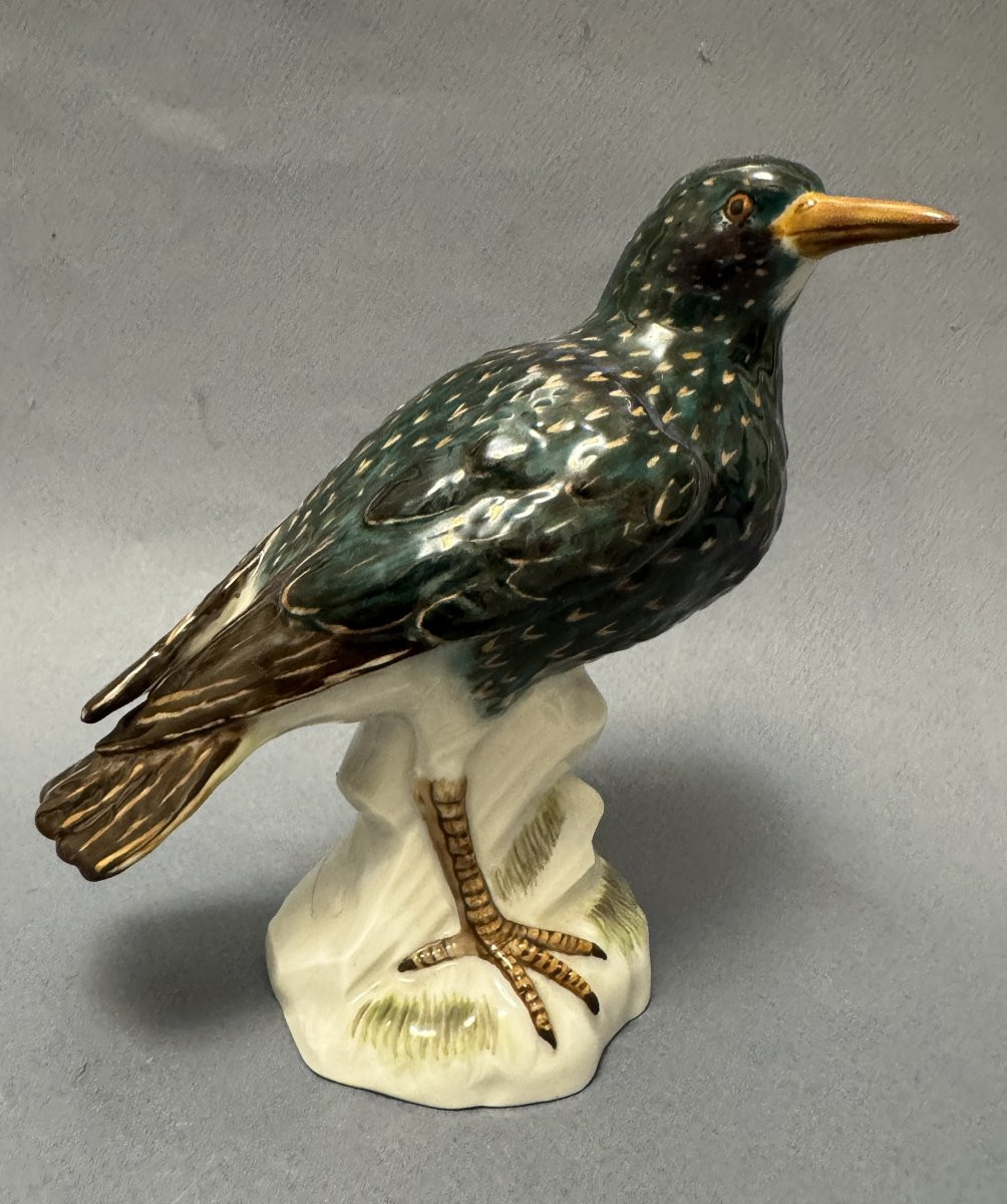 Meissen Porcelain Starling Bird -photo-2