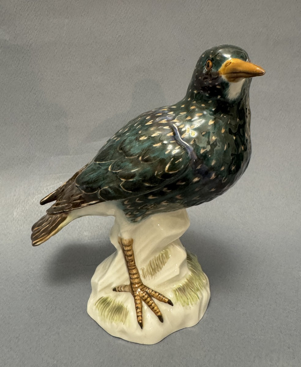 Meissen Porcelain Starling Bird 