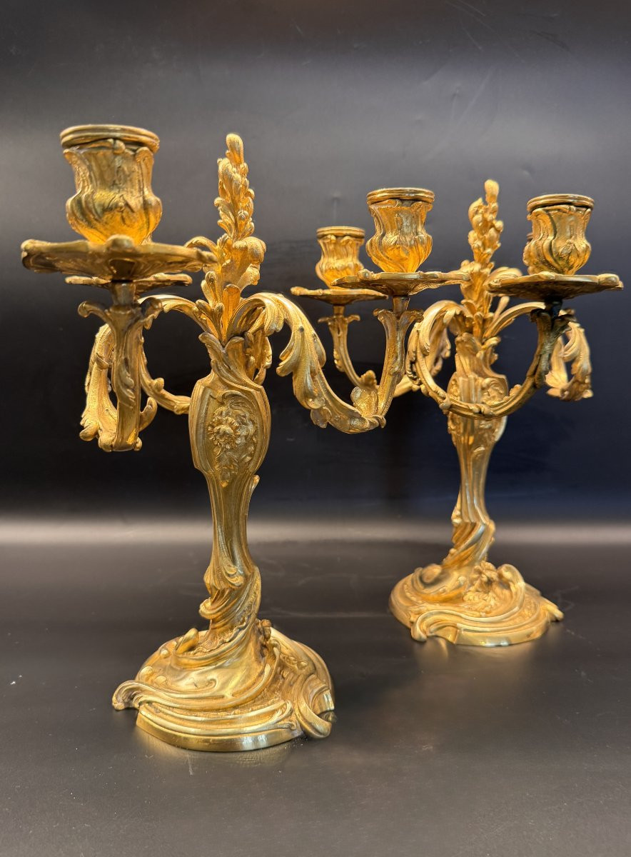 Pair Of Gilt Bronze Candelabra With Rocaille Decoration By Colin Et Cie.-photo-2