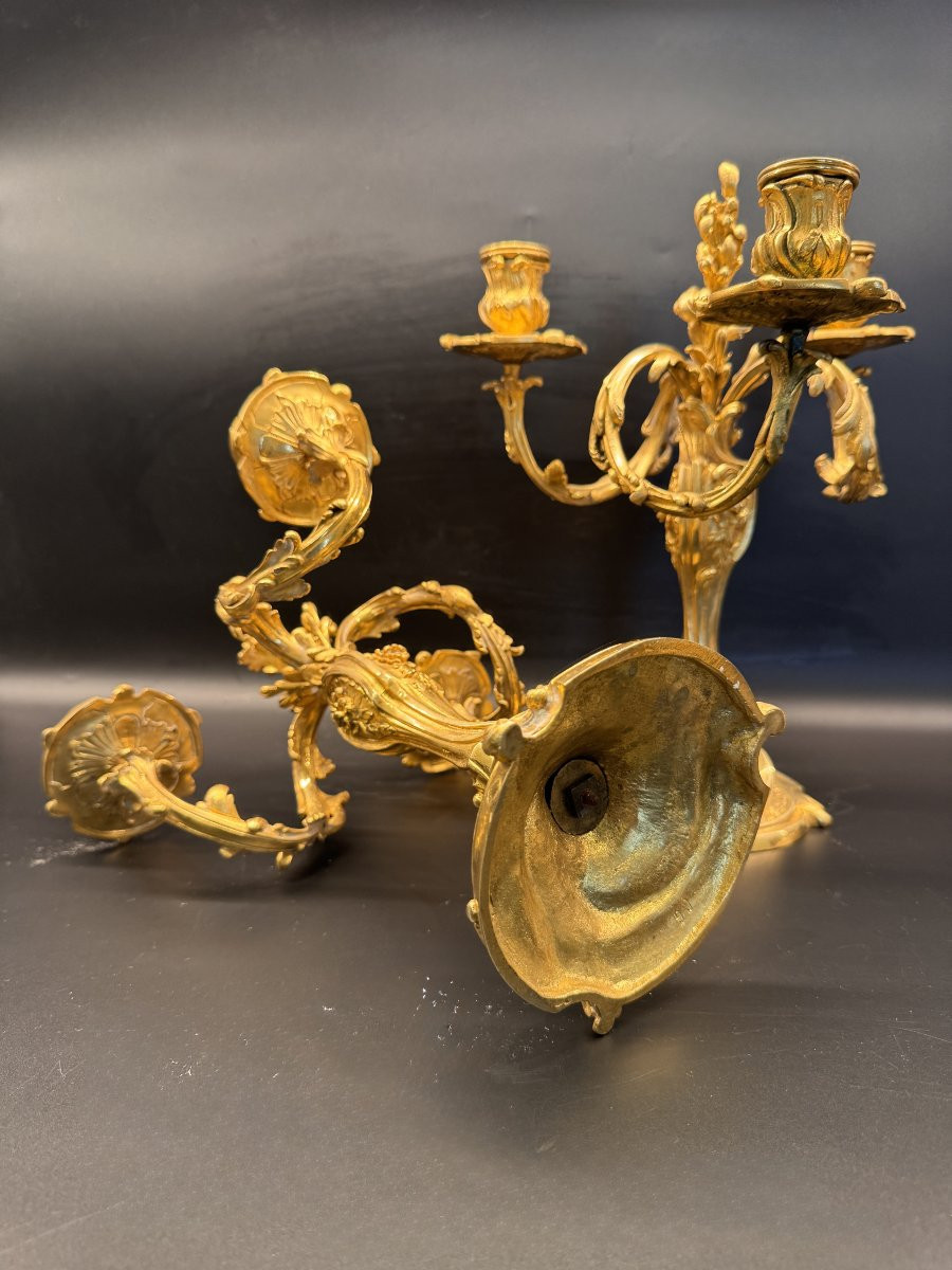 Pair Of Gilt Bronze Candelabra With Rocaille Decoration By Colin Et Cie.-photo-3