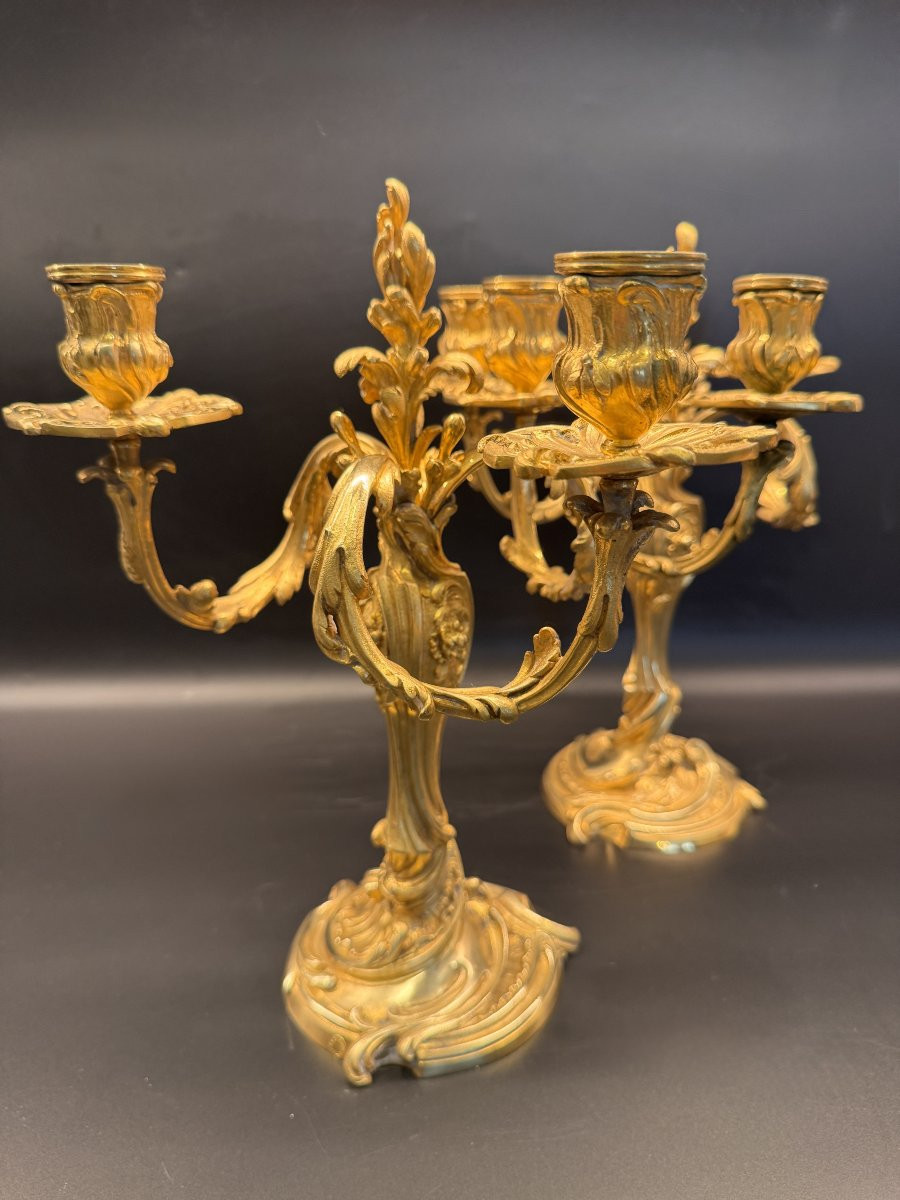 Pair Of Gilt Bronze Candelabra With Rocaille Decoration By Colin Et Cie.-photo-4