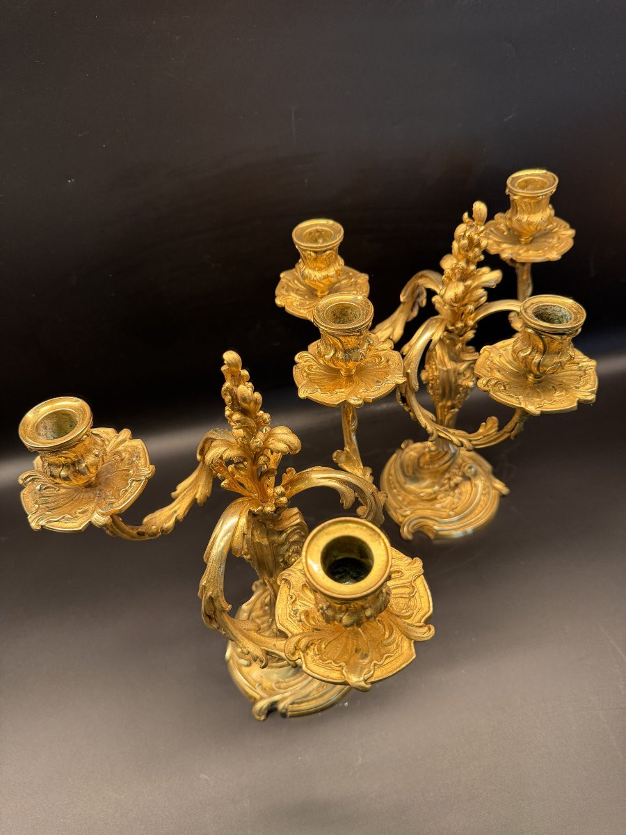 Pair Of Gilt Bronze Candelabra With Rocaille Decoration By Colin Et Cie.-photo-3