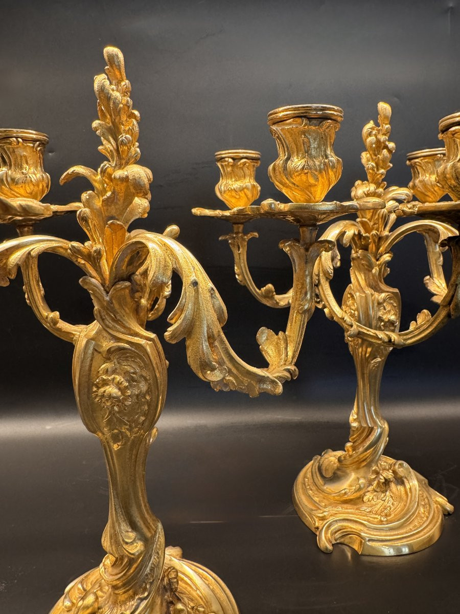 Pair Of Gilt Bronze Candelabra With Rocaille Decoration By Colin Et Cie.-photo-4