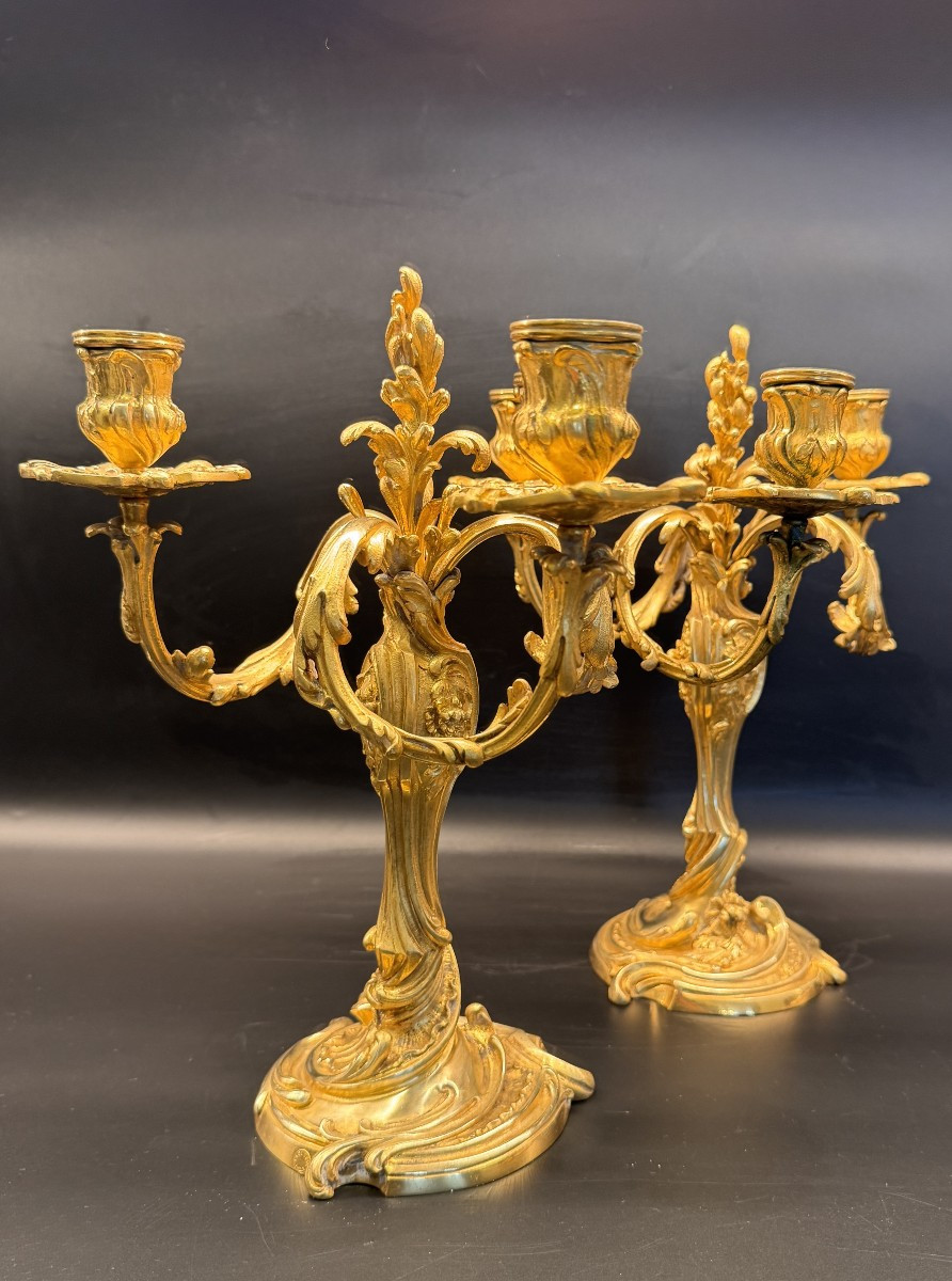 Pair Of Gilt Bronze Candelabra With Rocaille Decoration By Colin Et Cie.