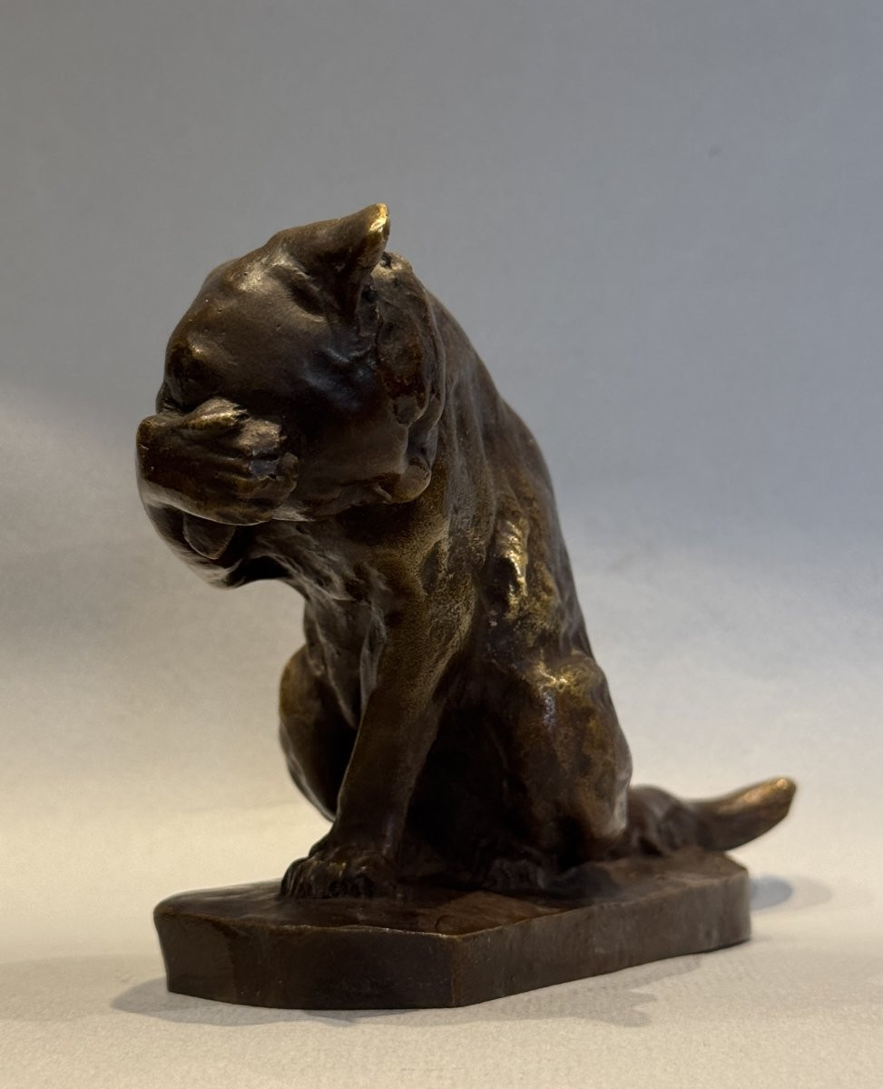Cat At His Toilet - Georges Gardet - Bronze Sculpture - Siot-photo-2