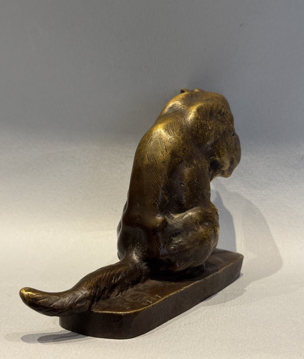 Cat At His Toilet - Georges Gardet - Bronze Sculpture - Siot-photo-2