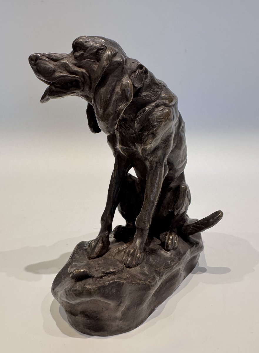 Bronze Sculpture Of A Basset Hound By Ernest Damé (saint Hubert) -photo-1