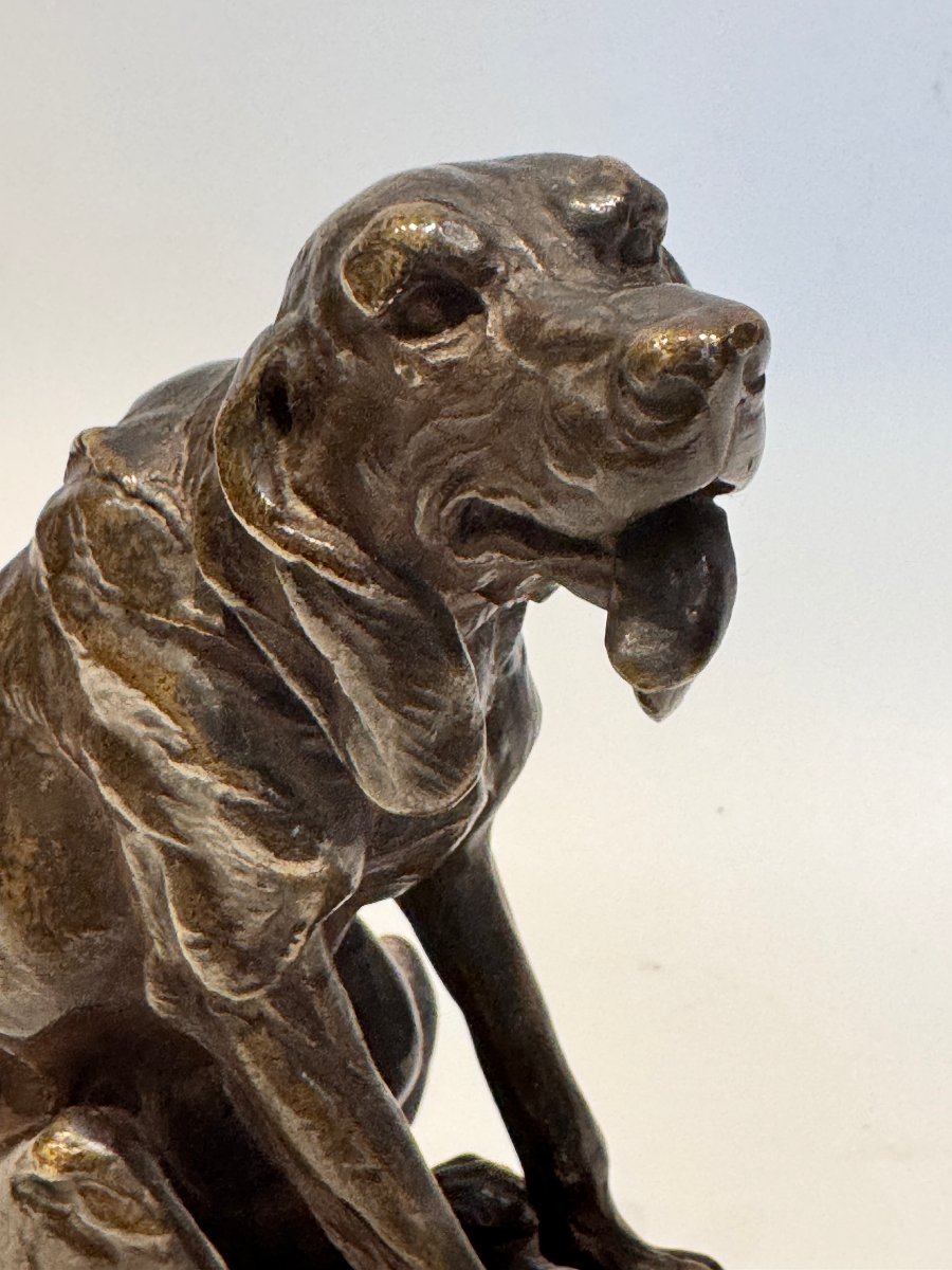 Bronze Sculpture Of A Basset Hound By Ernest Damé (saint Hubert) 