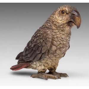 Geschützt Parrot - Bergmann - Vienna Bronze Sculpture