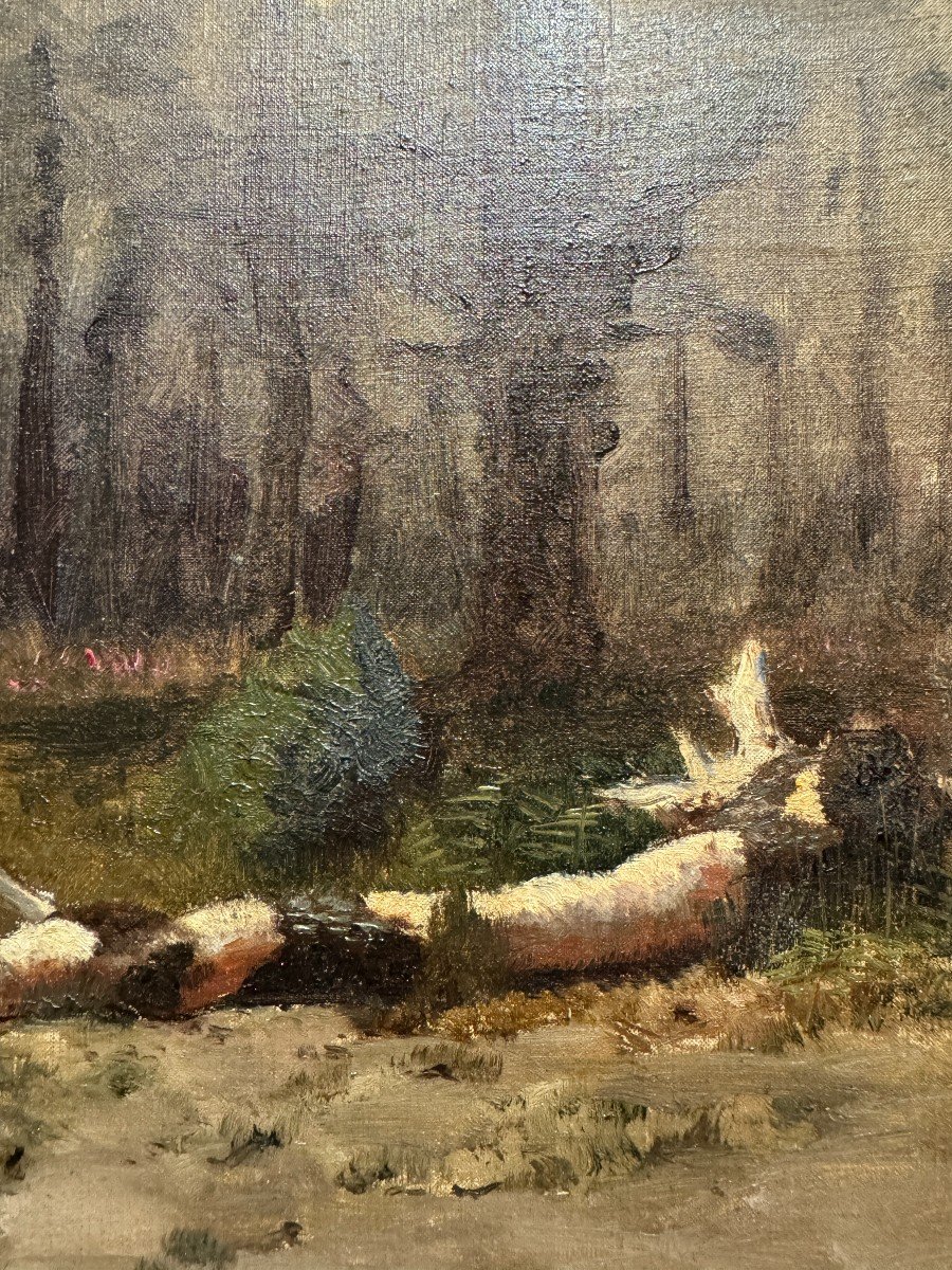 Ecole impressionniste Du XIX&egrave;me Si&egrave;cle - La Souche d&#039;Arbre, Circa 1870-photo-4