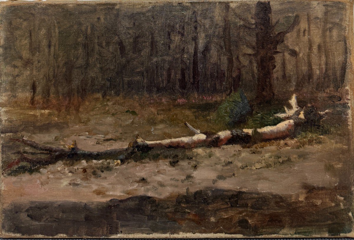 Ecole impressionniste Du XIX&egrave;me Si&egrave;cle - La Souche d&#039;Arbre, Circa 1870