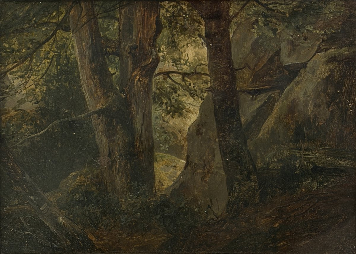 Camille Roqueplan (1803-1855) - Etude, foret de Fontainebleau - Huile sur papier-photo-2
