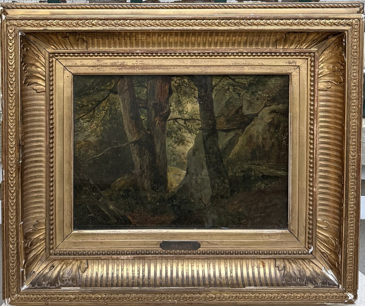 Camille Roqueplan (1803-1855) - Etude, foret de Fontainebleau - Huile sur papier-photo-3