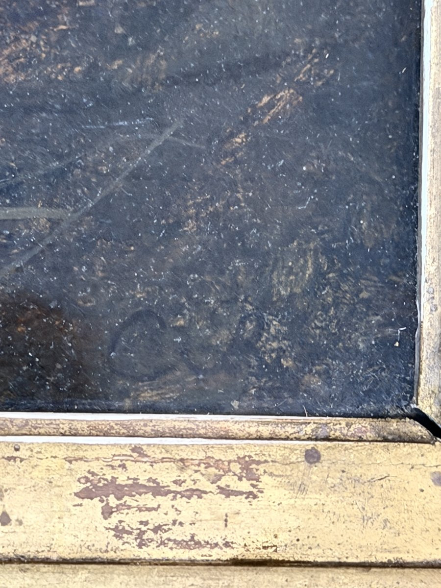 Camille Roqueplan (1803-1855) - Etude, foret de Fontainebleau - Huile sur papier-photo-1