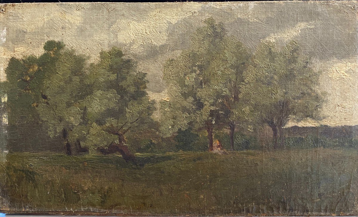 Ecole Impressionniste - Jeune Femme Sous Un Arbre, Circa 1890