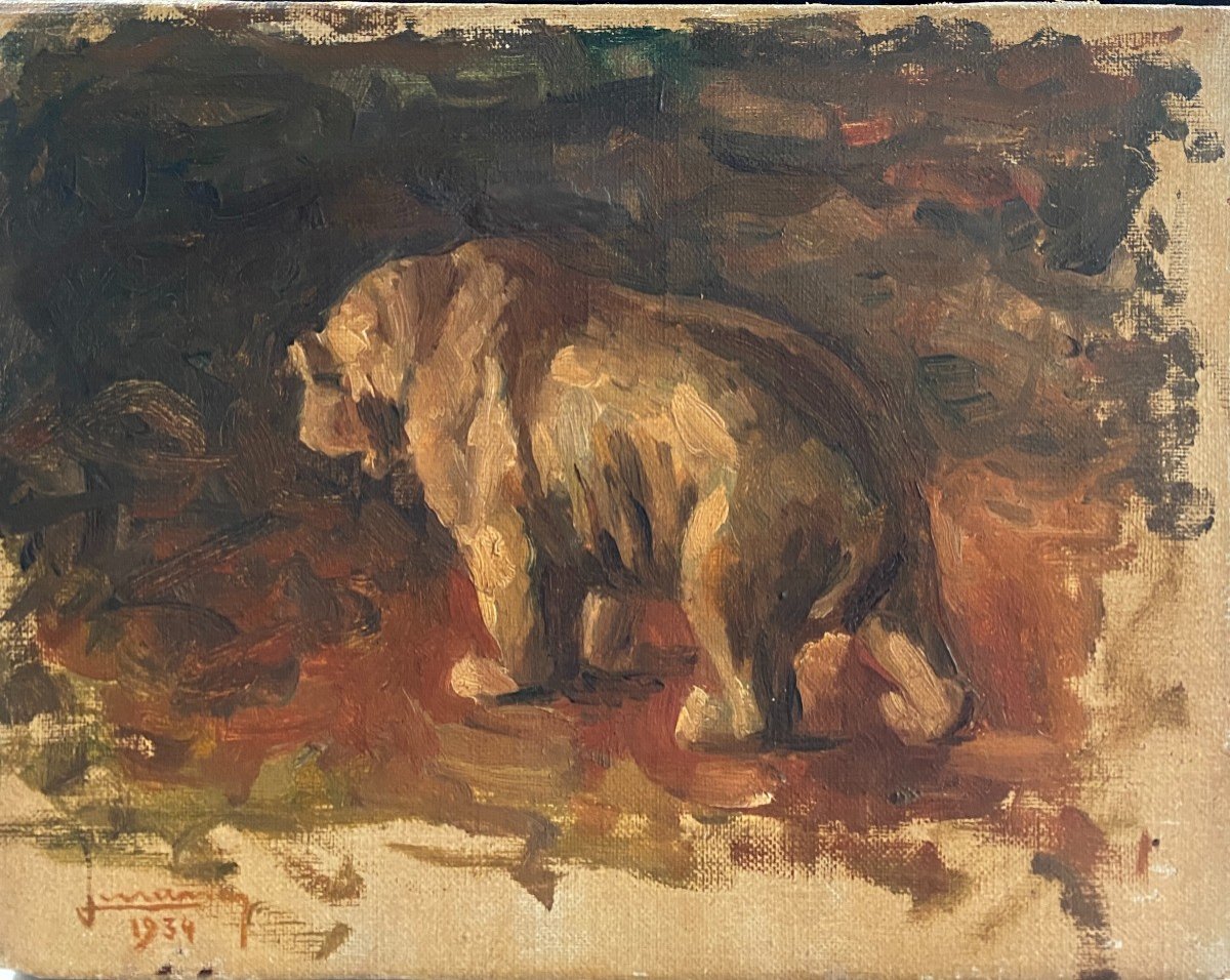 Ecole Française - Peintre Animalier : Ours Brun, 1934 - Signature à Identifier