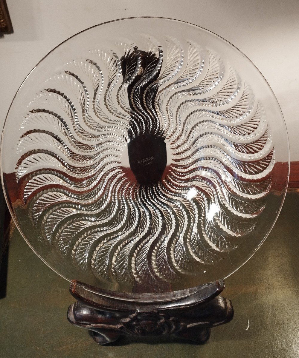 R. Lalique  Modèle Actinia Coupe Ouverte