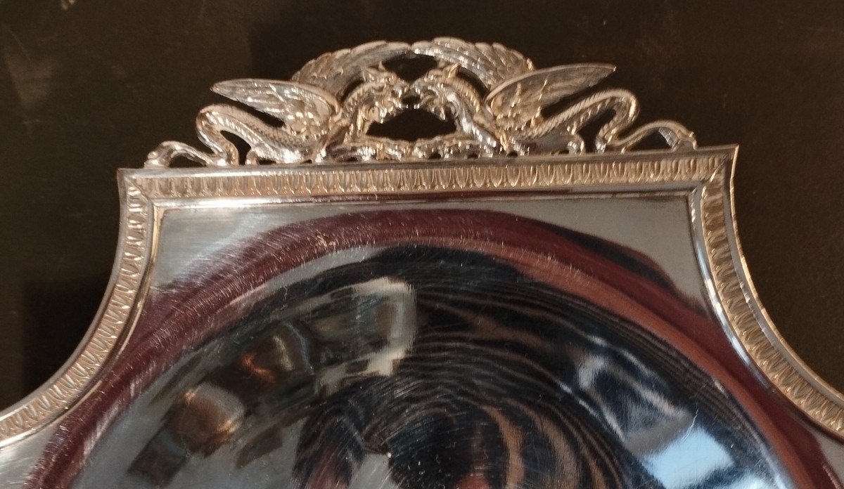 Silver Metal Fruit Bowl Res Non Verba-photo-1