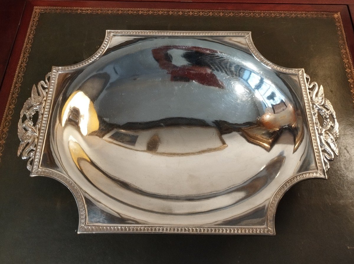 Silver Metal Fruit Bowl Res Non Verba