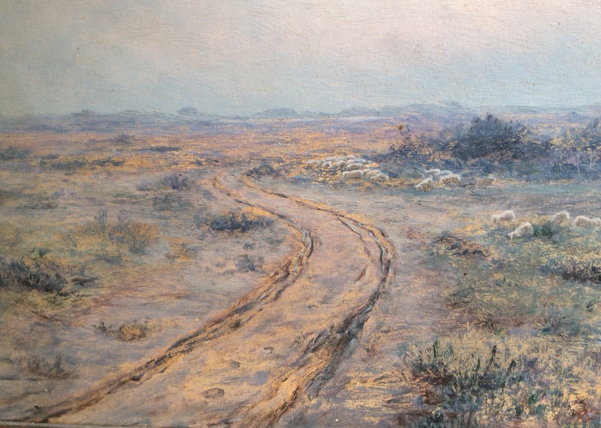 Henri Bésiné "a Sheepfold In The Camargue" Oil On Cardboard-photo-2