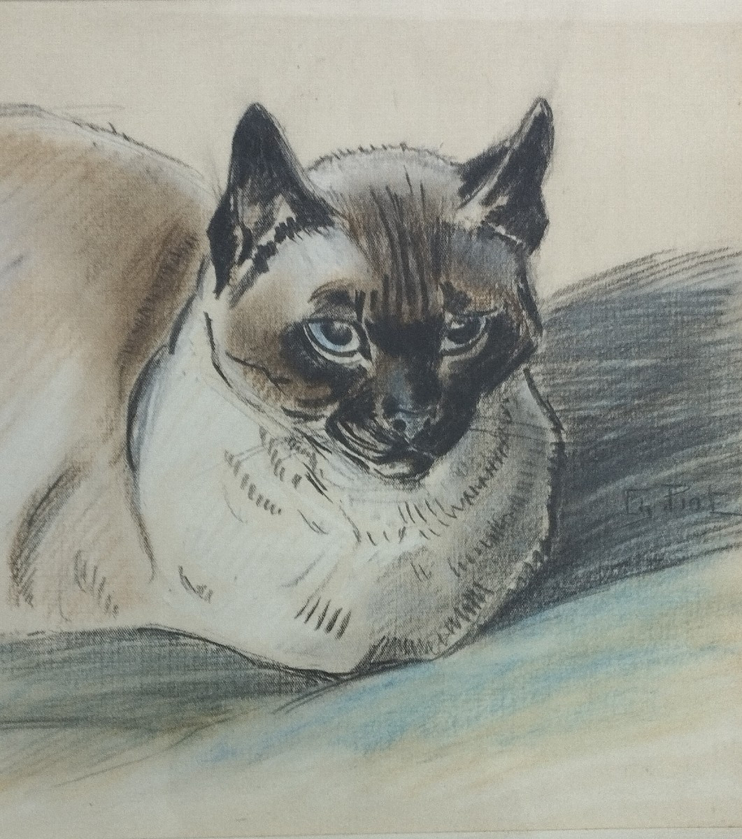 Charles Piot "siamese Cat" Colored Pencil Drawing/paper-photo-2