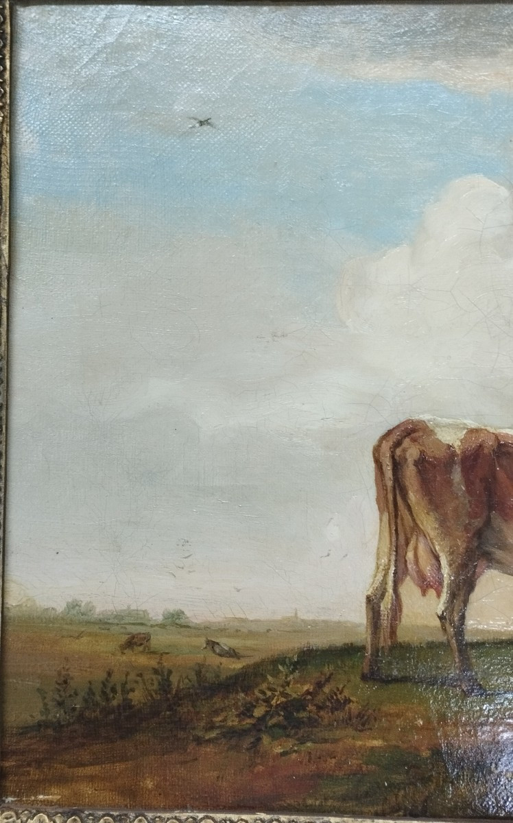 Vaches au pâturage Huile sur toile XIX-photo-2