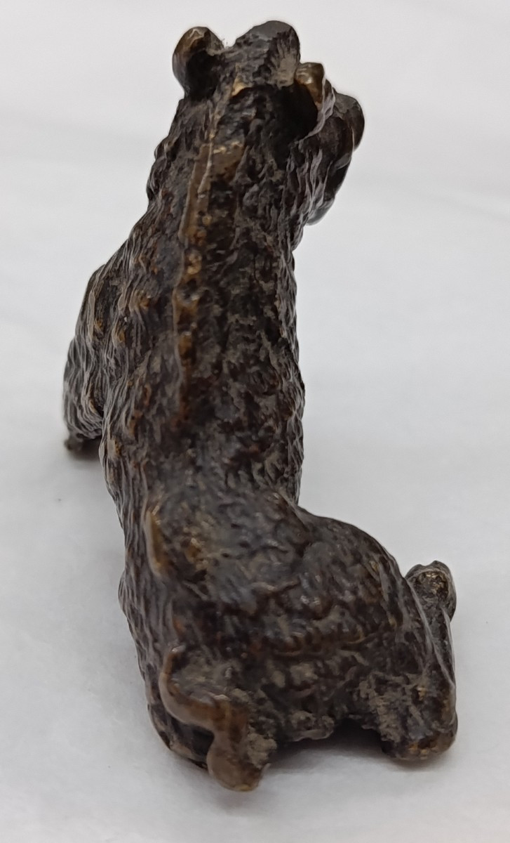 Sanglier en bronze XIX  réduction d'après  Pietro Tacca -photo-3