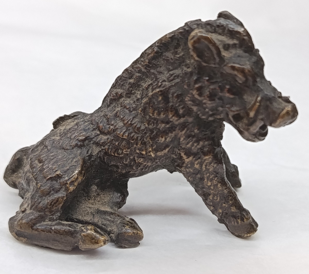 Sanglier en bronze XIX  réduction d'après  Pietro Tacca 