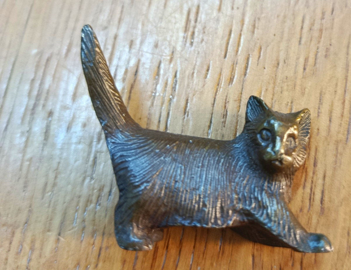 Small Bronze Cat-photo-2