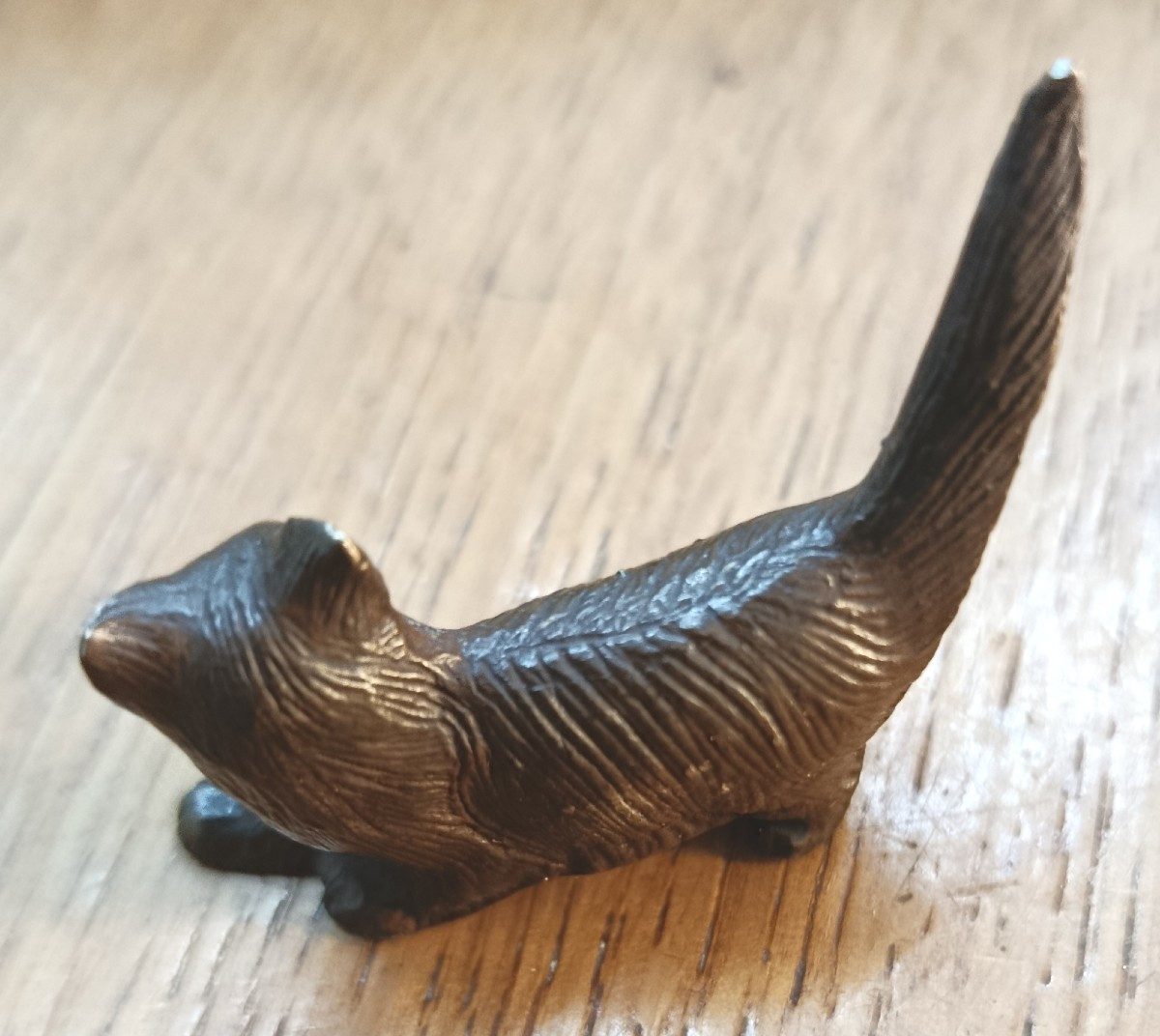 Small Bronze Cat-photo-4