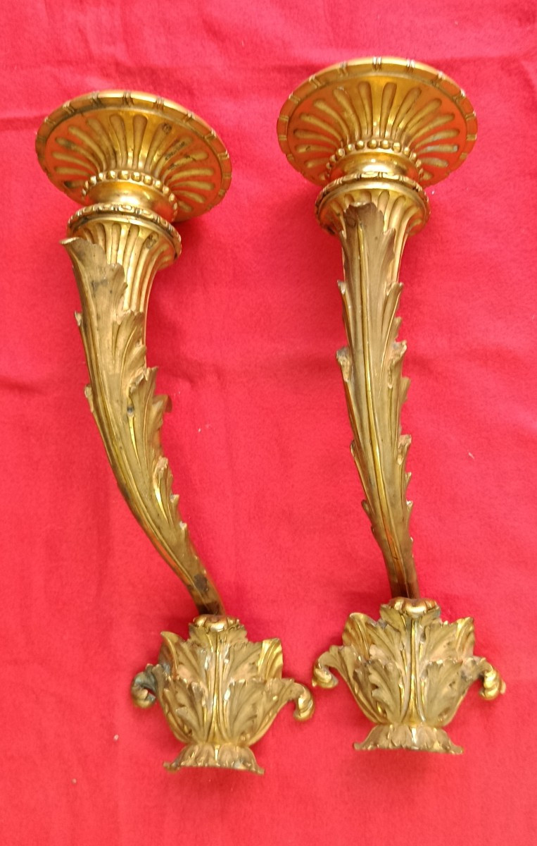 Paire d'appliques en bronze doré en forme de cornes d'abondance XIX-photo-2