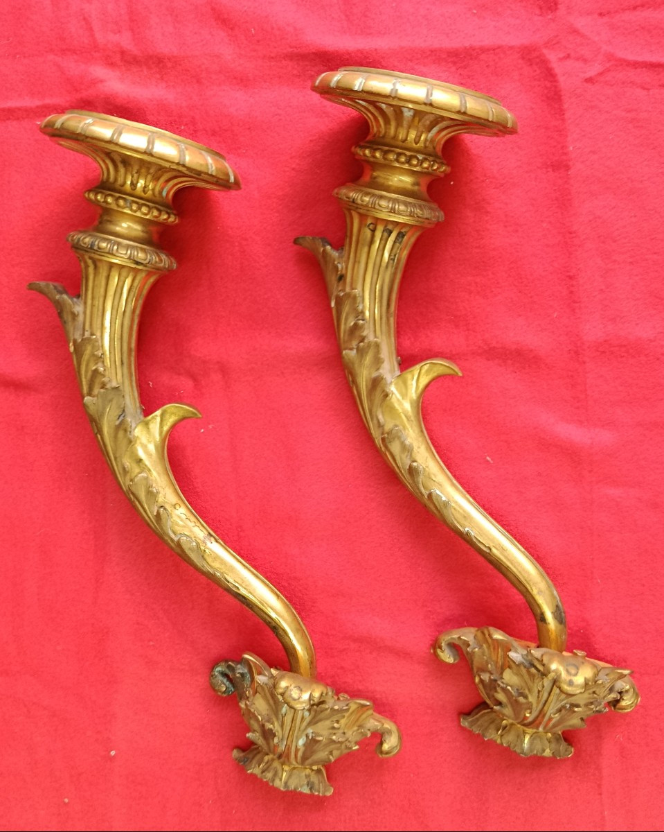 Paire d'appliques en bronze doré en forme de cornes d'abondance XIX