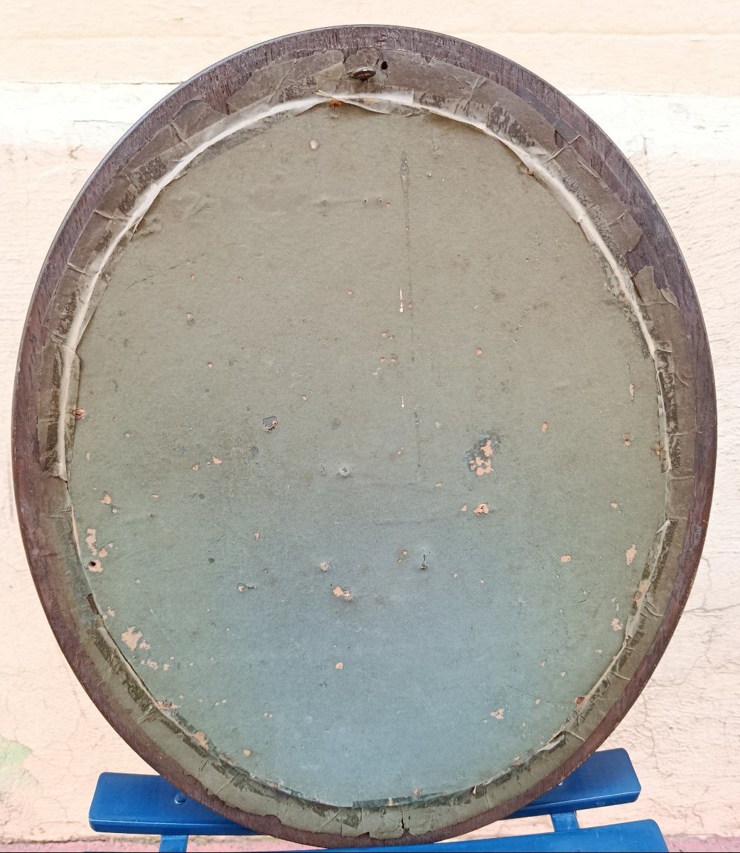 Paire de trophés d'oiseaux sous verres bombés XIX-photo-1