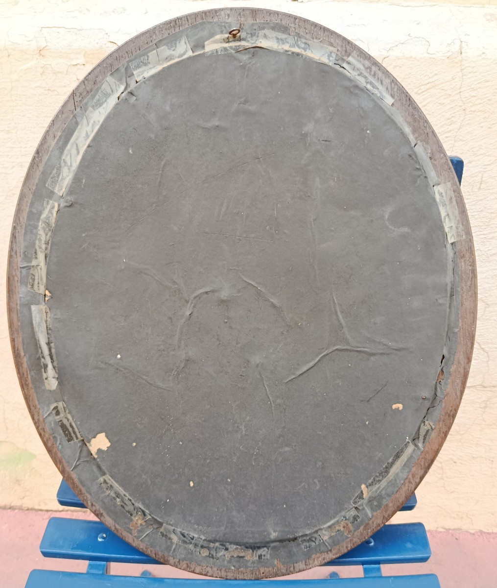 Paire de trophés d'oiseaux sous verres bombés XIX-photo-2
