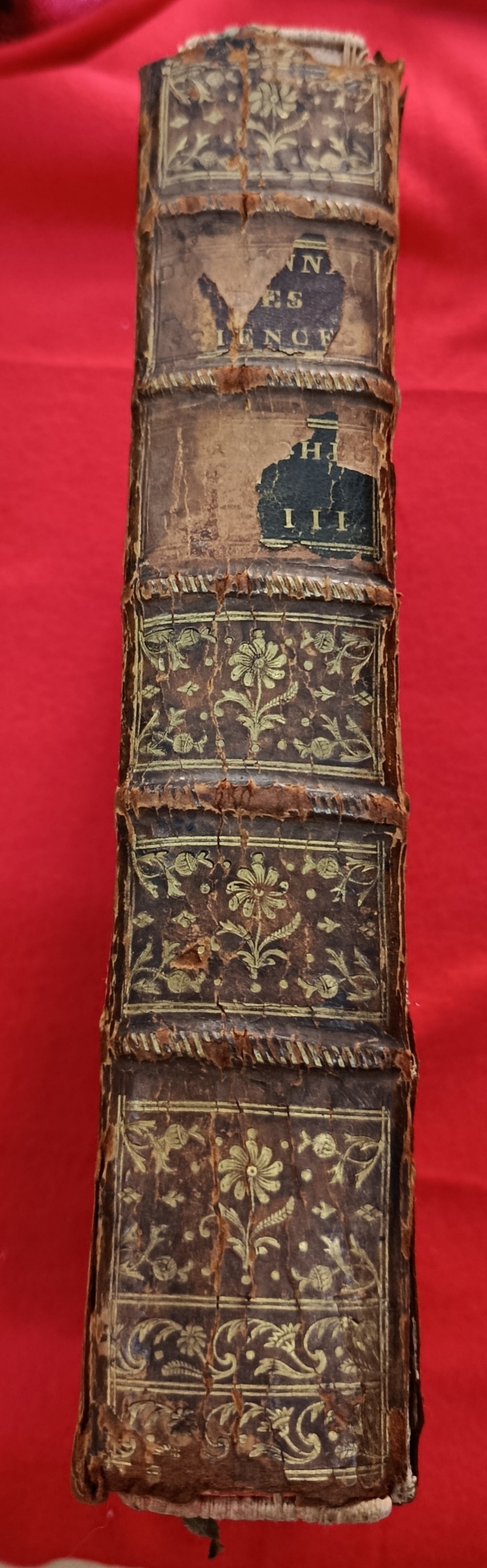 1779 Suite du recueil de planches Sciences T.3 / Pellet Genève-photo-3