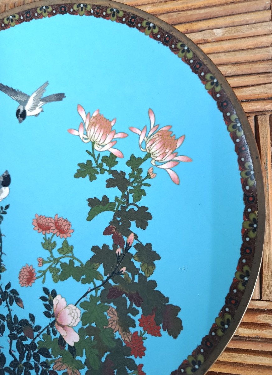 19th-century Japanese Cloisonné Dish-photo-3
