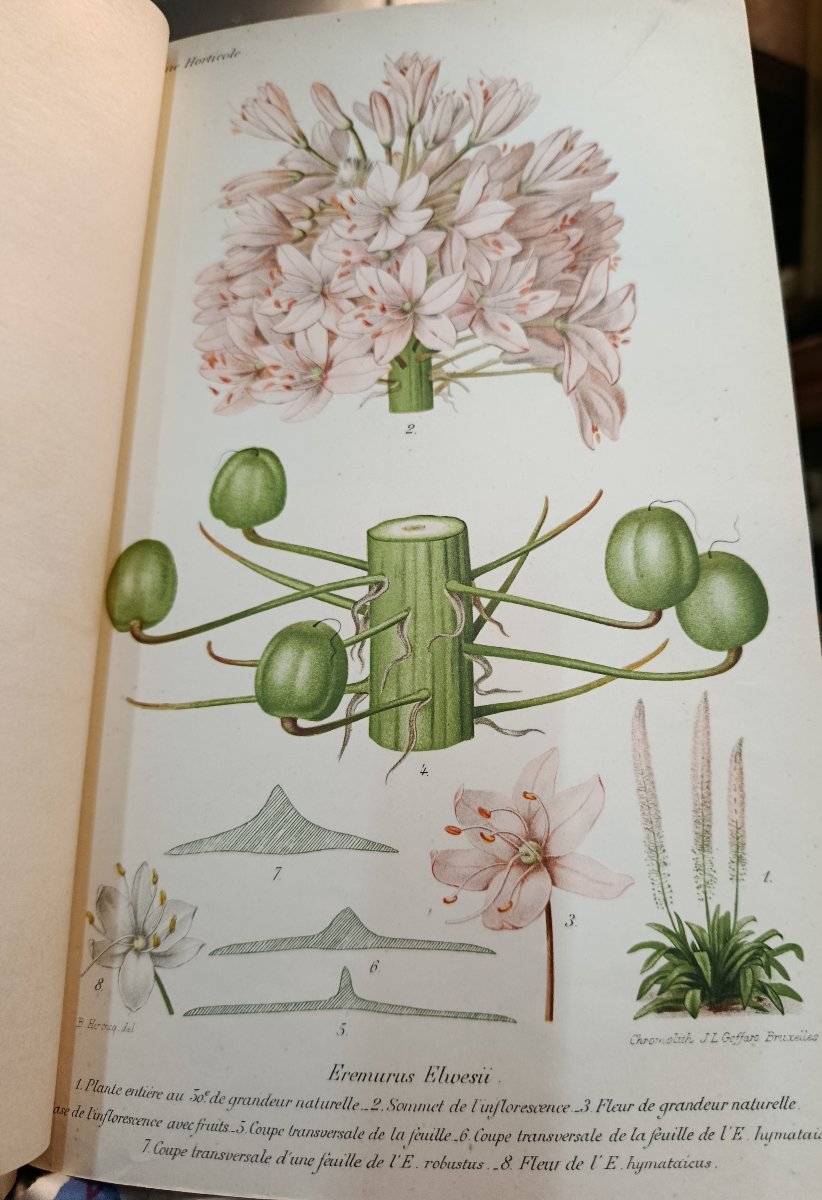 La Revue Horticole de 1889 à 1906 soit 18 livres à 120 euros pièce-photo-7