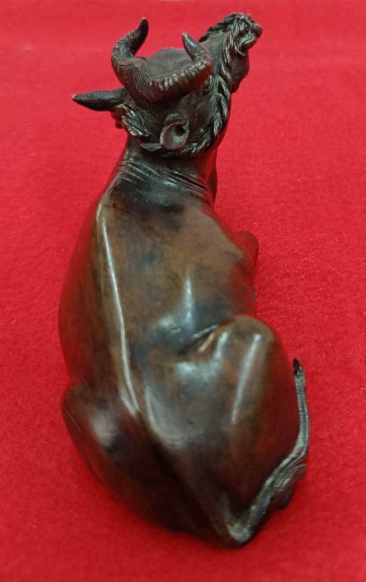 Buffle couché en bronze XIX Asie-photo-2