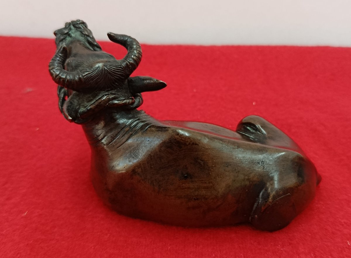 Buffle couché en bronze XIX Asie-photo-3