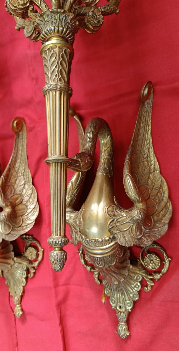 Paire d'appliques en bronze doré à 7 bras de lumière XIX-photo-3
