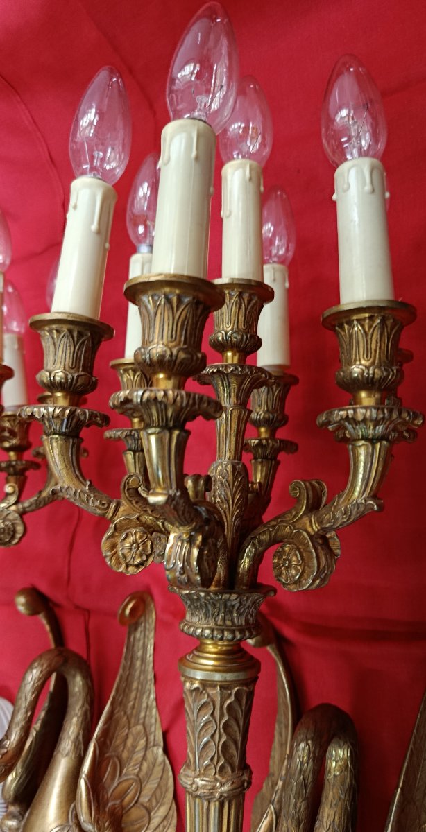 Paire d'appliques en bronze doré à 7 bras de lumière XIX-photo-4