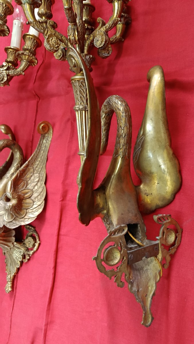 Paire d'appliques en bronze doré à 7 bras de lumière XIX-photo-3