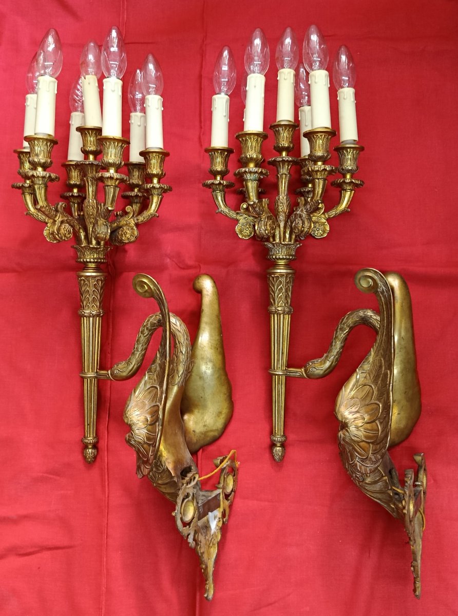 Paire d'appliques en bronze doré à 7 bras de lumière XIX-photo-4