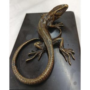 Lézard Sculpture en bronze XIX