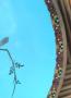 1785205-alb-6a3eaa9b70fdb.jpg