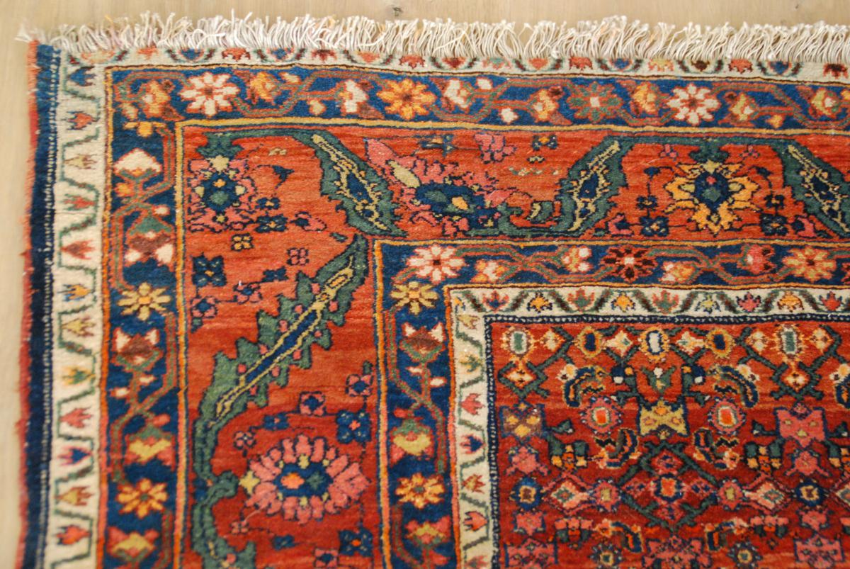 Carpet -photo-4