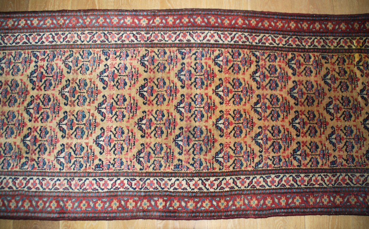 Tapis De Couloir 553cmx77cm-photo-3